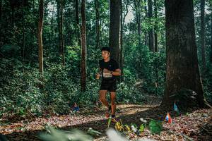 BIB: 
                            <button type="button" onclick="openModal(26077958)" class="btn btn-primary btn-sm float-right btn-popup" data-toggle="modal" data-target=".modal-high-quality">
                        <i class="fas fa-shopping-cart"></i> Add to Cart
                    </button>
                                            <button type="button" onclick="isThisMe(26077958, true)" class="btn btn-success btn-sm float-right btn-popup btn-isme hidden" data-toggle="tooltip" data-placement="bottom" title="นี่คือรูปของคุณใช่ไหม คลิกที่นี่เพื่อเอาเข้าอัลบั้ม">
                        <i class="fas fa-plus"></i> Add to album
                    </button>
                    <button type="button" onclick="isThisMe(26077958, false)" class="btn btn-warning btn-sm float-right btn-popup btn-isnotme hidden">
                        <i class="fas fa-ban"></i> Remove from album
                    </button>